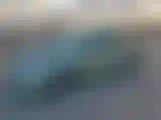 Vehicle Image- 2007 Toyota Prius