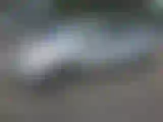 Vehicle Image- 2007 Toyota Prius