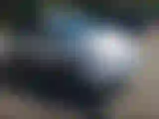 Vehicle Image- 2007 Toyota Prius