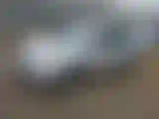 Vehicle Image- 2007 Toyota Prius