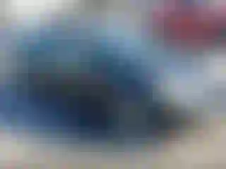 Vehicle Image- 2007 Toyota Prius