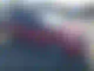 Vehicle Image- 2007 Toyota Prius