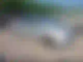 Vehicle Image- 2007 Toyota Prius