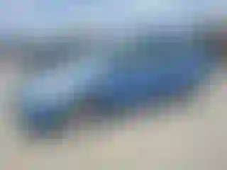 Vehicle Image- 2007 Toyota Prius