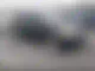 Vehicle Image- 2008 Toyota Prius