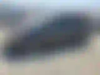 Vehicle Image- 2008 Toyota Prius