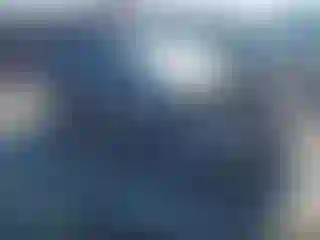 Vehicle Image- 2008 Toyota Prius