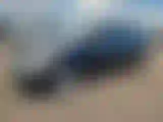 Vehicle Image- 2008 Toyota Prius
