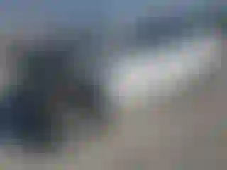 Vehicle Image- 2008 Toyota Prius