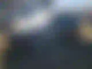 Vehicle Image- 2008 Toyota Prius