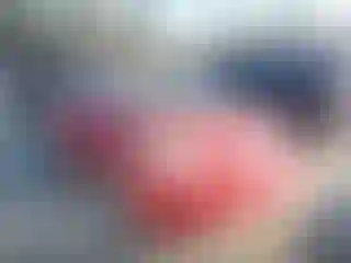 Vehicle Image- 2008 Toyota Prius