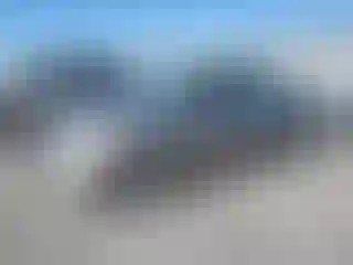 Vehicle Image- 2008 Toyota Prius