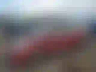 Vehicle Image- 2009 Toyota Prius