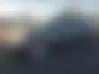 Vehicle Image- 2009 Toyota Prius