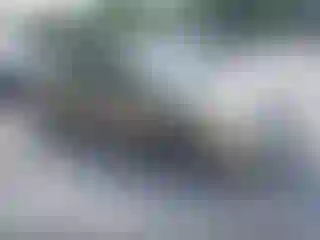 Vehicle Image- 2004 Toyota Prius