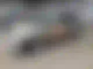 Vehicle Image- 2004 Toyota Prius