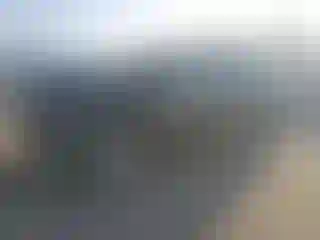 Vehicle Image- 2004 Toyota Prius