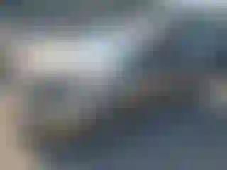 Vehicle Image- 2005 Toyota Prius