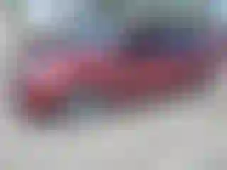 Vehicle Image- 2005 Toyota Prius