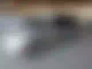 Vehicle Image- 2005 Toyota Prius