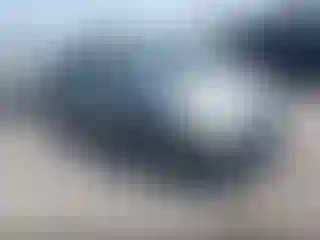 Vehicle Image- 2005 Toyota Prius