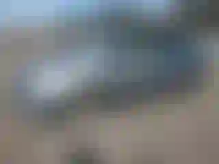 Vehicle Image- 2005 Toyota Prius