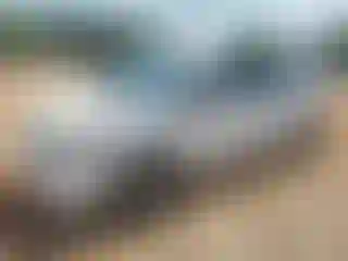 Vehicle Image- 2006 Toyota Prius