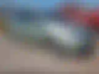 Vehicle Image- 2006 Toyota Prius