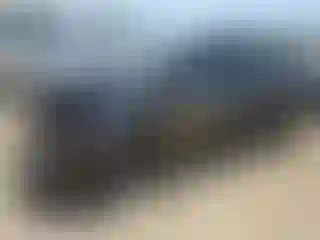 Vehicle Image- 2007 Toyota Prius