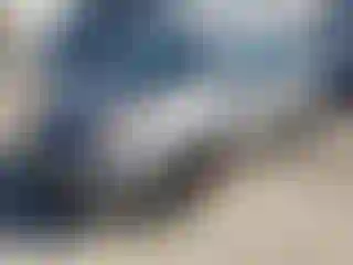 Vehicle Image- 2007 Toyota Prius