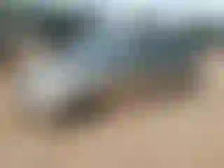 Vehicle Image- 2007 Toyota Prius
