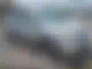 Vehicle Image- 2007 Toyota Prius