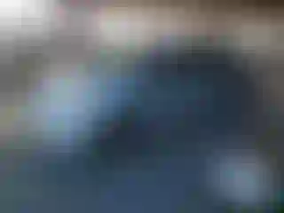 Vehicle Image- 2008 Toyota Prius