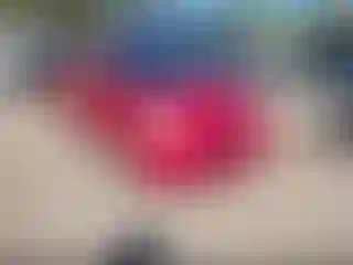 Vehicle Image- 2008 Toyota Prius