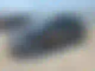 Vehicle Image- 2008 Toyota Prius