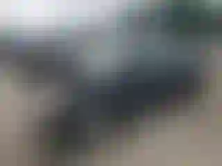 Vehicle Image- 2008 Toyota Prius