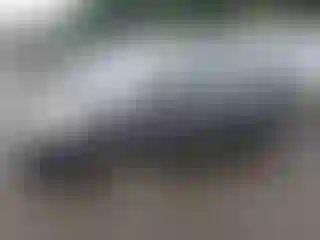 Vehicle Image- 2008 Toyota Prius