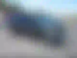 Vehicle Image- 2008 Toyota Prius