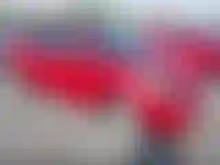 Vehicle Image- 2008 Toyota Prius