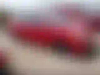 Vehicle Image- 2008 Toyota Prius