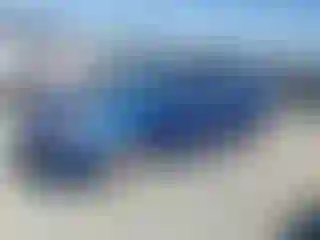 Vehicle Image- 2009 Toyota Prius