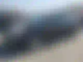 Vehicle Image- 2004 Toyota Prius