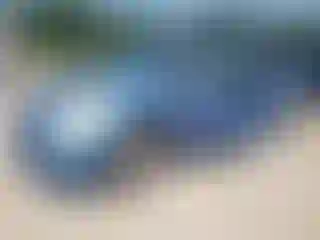 Vehicle Image- 2004 Toyota Prius