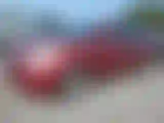 Vehicle Image- 2005 Toyota Prius