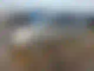 Vehicle Image- 2005 Toyota Prius