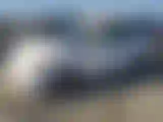 Vehicle Image- 2005 Toyota Prius