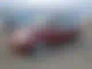 Vehicle Image- 2005 Toyota Prius