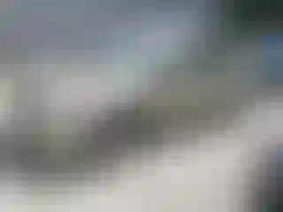 Vehicle Image- 2006 Toyota Prius