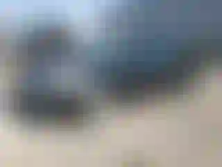 Vehicle Image- 2006 Toyota Prius