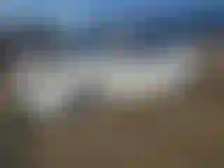 Vehicle Image- 2007 Toyota Prius